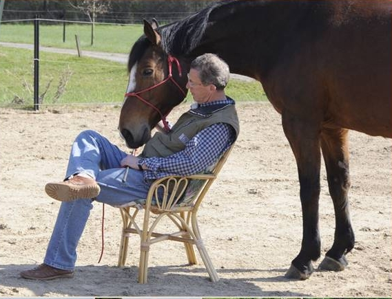Georg Domian in ruhiger Verbindung mit einem Pferd